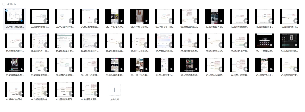 小红书电商项目训练营：从选品到出单 全套项目课程+实操经历复盘-岩肖